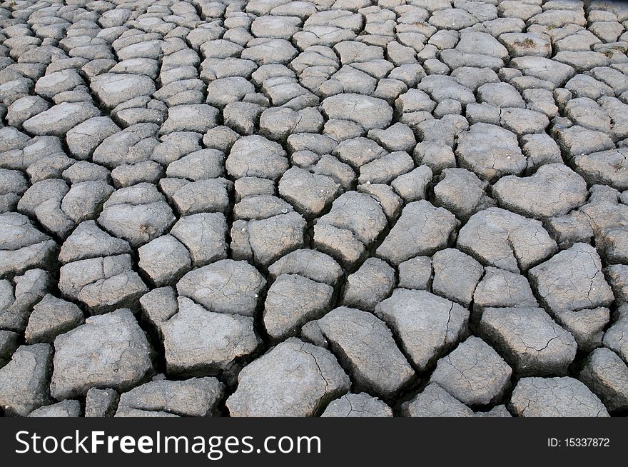 Dried land in the nature. Dried land in the nature