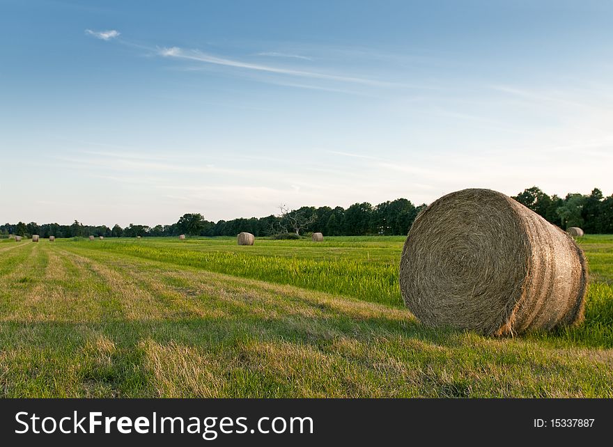 Field with fresh hay bale roll at sunset. Field with fresh hay bale roll at sunset