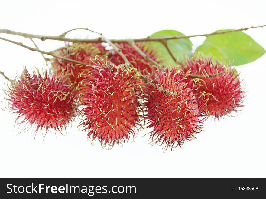 Bunch of rambutans is asean fruit