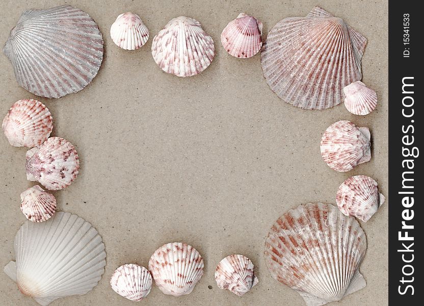 Natural scallops creating a frame with soft-focus sand background. Natural scallops creating a frame with soft-focus sand background.