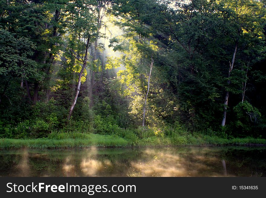 Sunbeams through trees on a river. Sunbeams through trees on a river