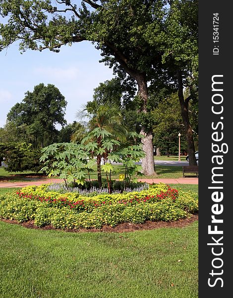 Flowered landscape in city park