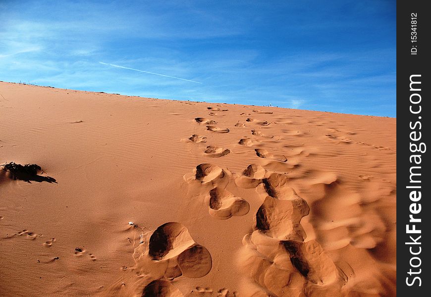 Footsteps In Sand Dune