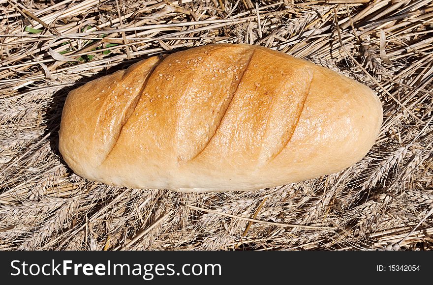 Bread On The Field