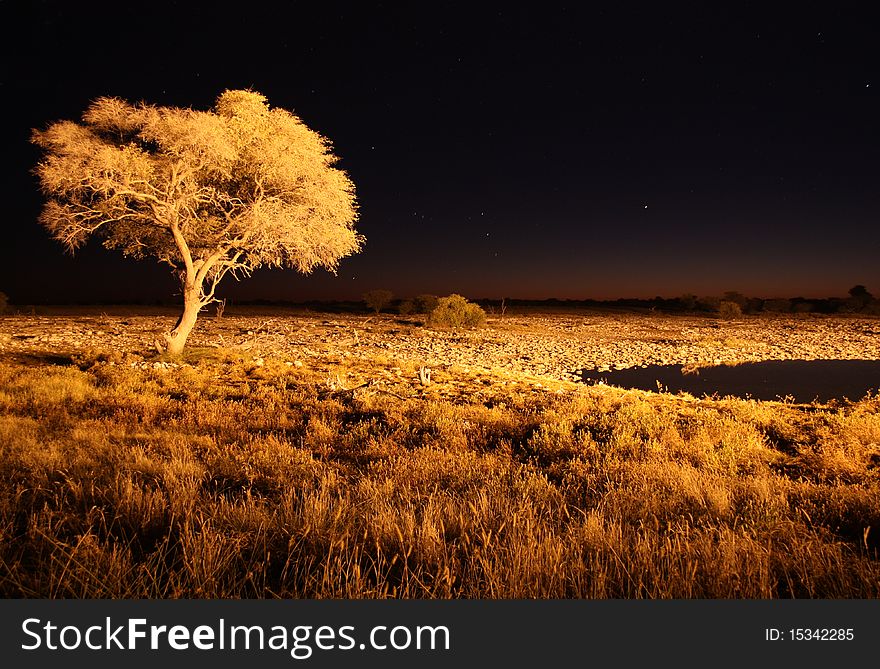 Peaceful watering hole at night in Etosha National Park in Namibia