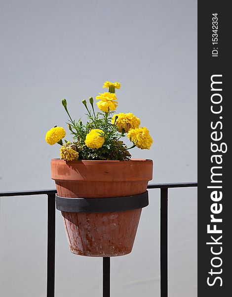 Flowerpot with yellow flowers hung on a wall in the street in Andalusia