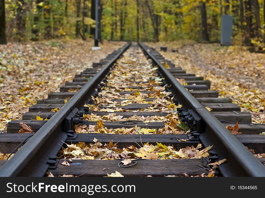 Railway in yellow autumn forest. Railway in yellow autumn forest