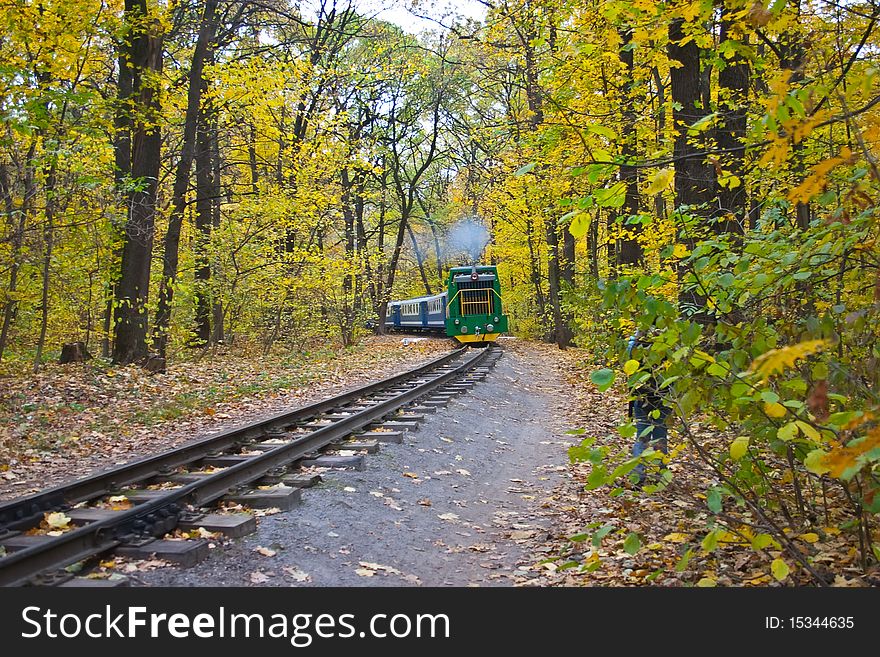 Railway and train in autumn yellow forests. Railway and train in autumn yellow forests