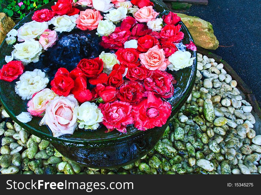 Colorful roses in clay bowl with floating water. Colorful roses in clay bowl with floating water.