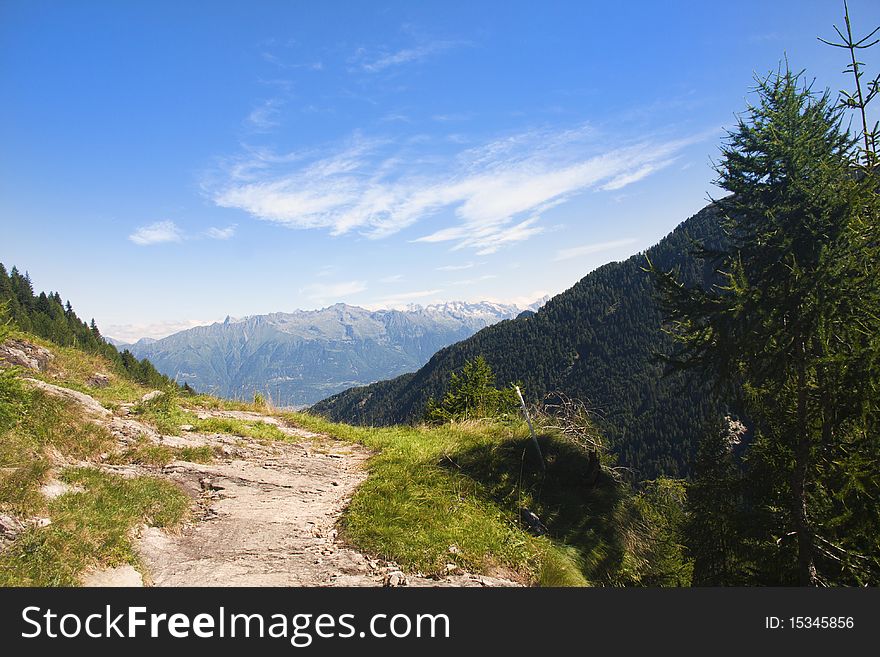Mountain trail between pastures and forests. Mountain trail between pastures and forests