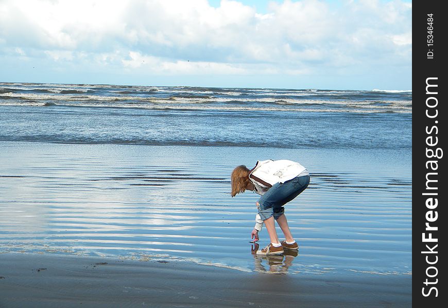 A Kid on the beach finding a sandollar. A Kid on the beach finding a sandollar