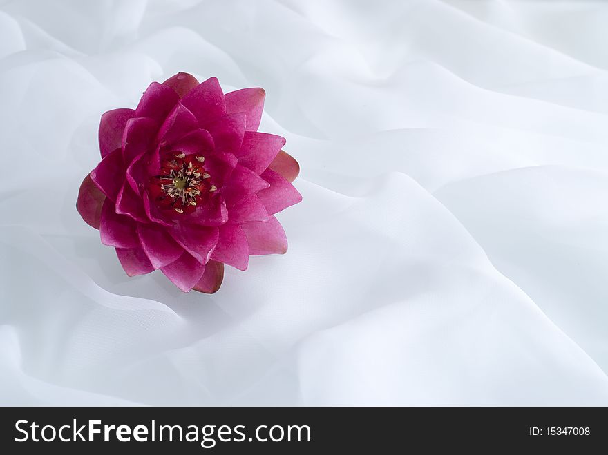 Red water lily  on white chiffon