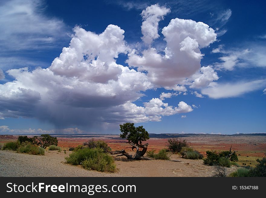 White clouds and blue sky above the Colorado Plateau