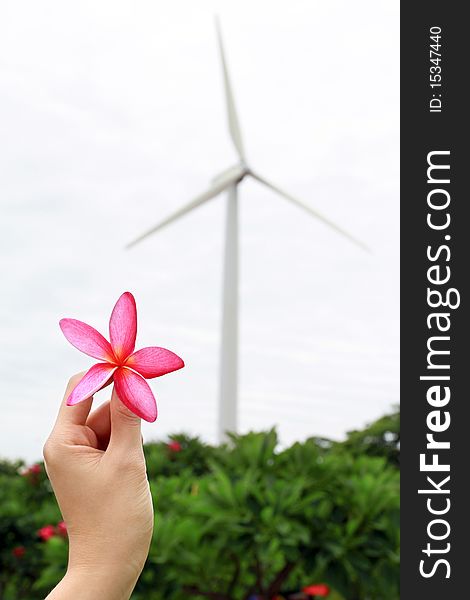 Windmills in a green meadow