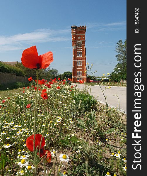 Converted water tower in Littlestone-on-sea in England with wild daisies and poppys in the foreground. Converted water tower in Littlestone-on-sea in England with wild daisies and poppys in the foreground.