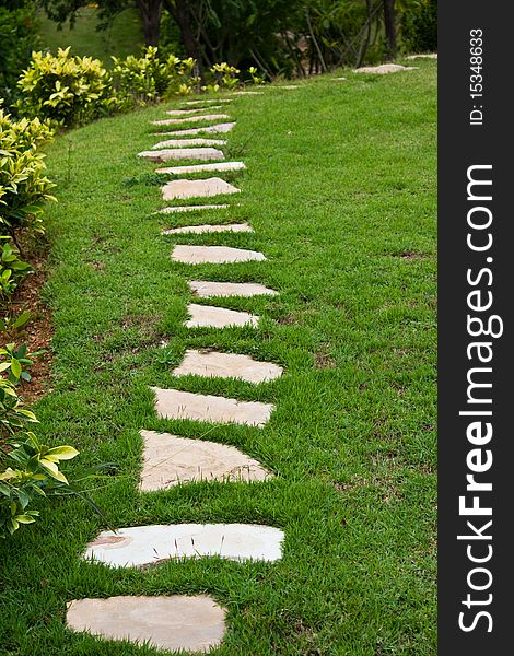 A footpath in a garden