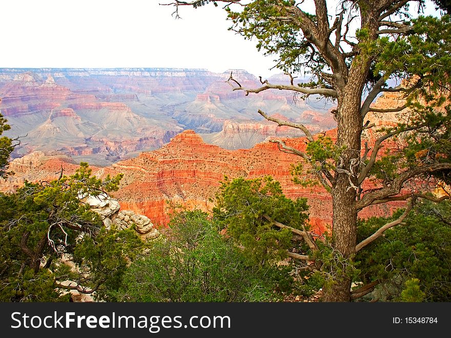 The view of grand canyon, Arizona, USA