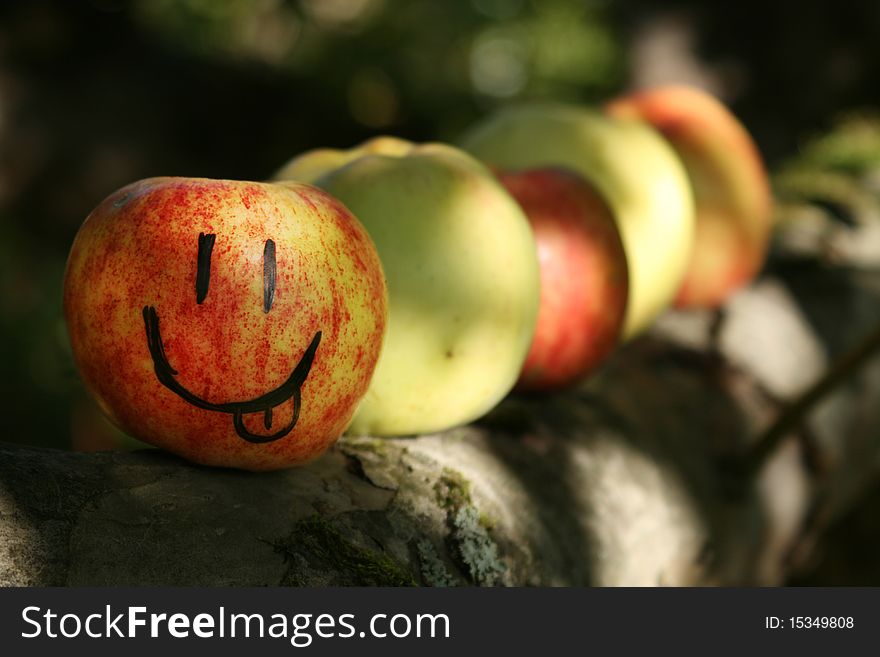 Teasing apple staying on branch in row with another apples. Teasing apple staying on branch in row with another apples.