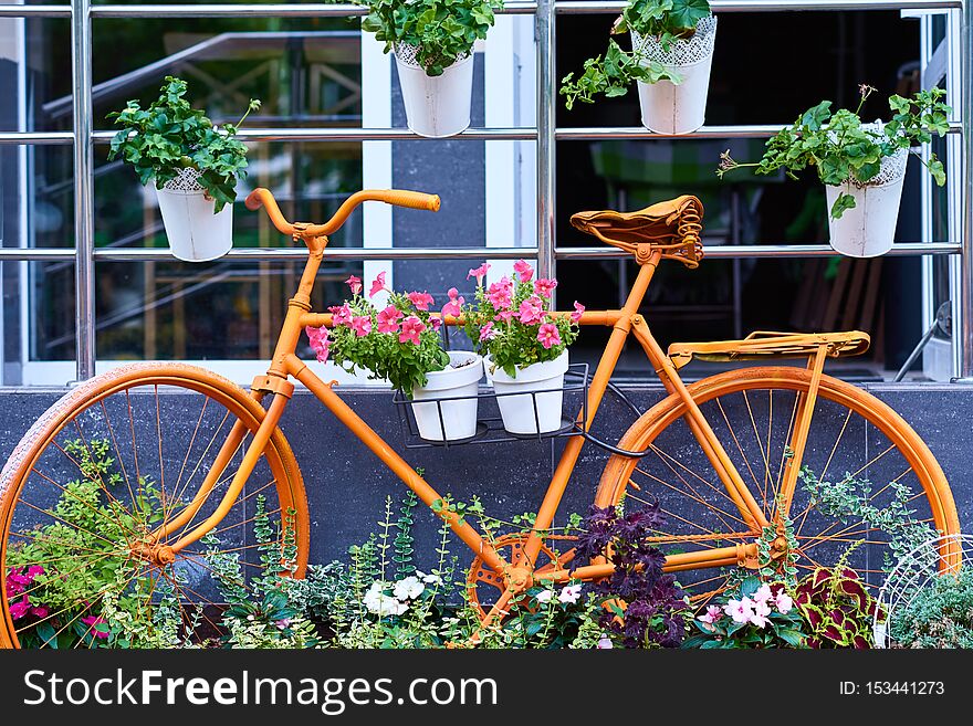 Old Orange Bicycle Decorated With A Flowers. Cafe Decore In City