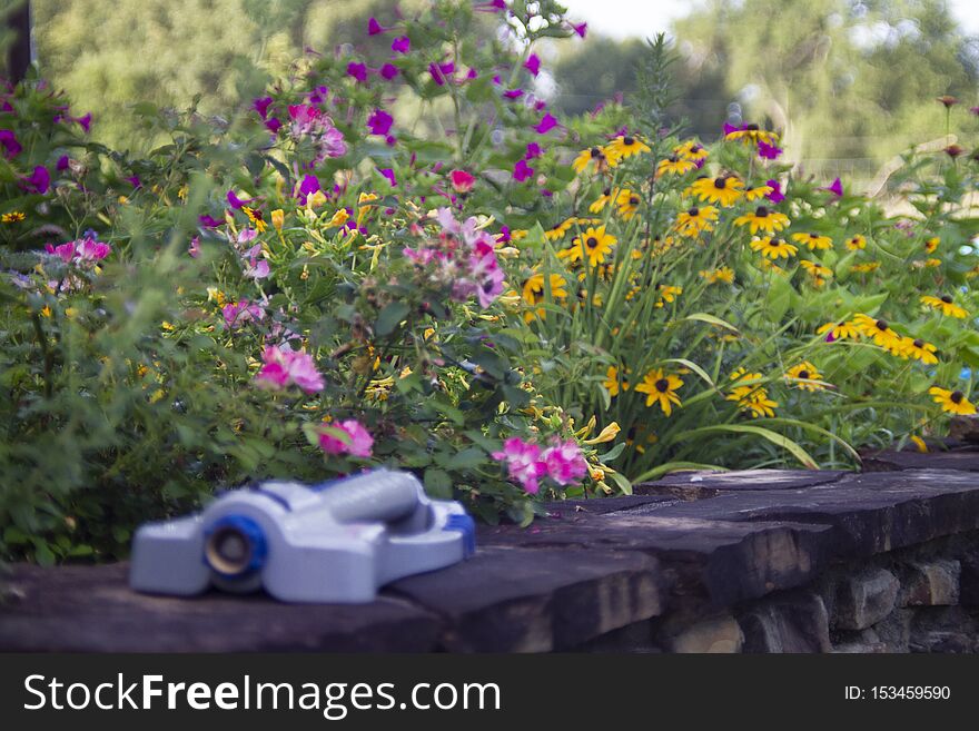 Focus on a beautiful flowers in a garden with a blurred water sprinkler on a rock wall. Watering flowers, water usage, gardening background image. Selective focus on beautiful tea roses and black eyed Susans. Focus on a beautiful flowers in a garden with a blurred water sprinkler on a rock wall. Watering flowers, water usage, gardening background image. Selective focus on beautiful tea roses and black eyed Susans.