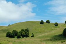 Beautiful Alpine Meadow Stock Image Beautiful Alpine Meadow Stock Image