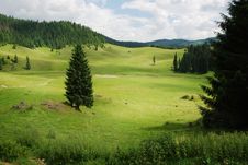 Beautiful Alpine Meadow Stock Photo Beautiful Alpine Meadow Stock Photo