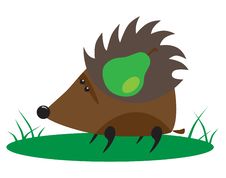 Hedgehog With Pear Stock Photo Hedgehog With Pear Stock Photo