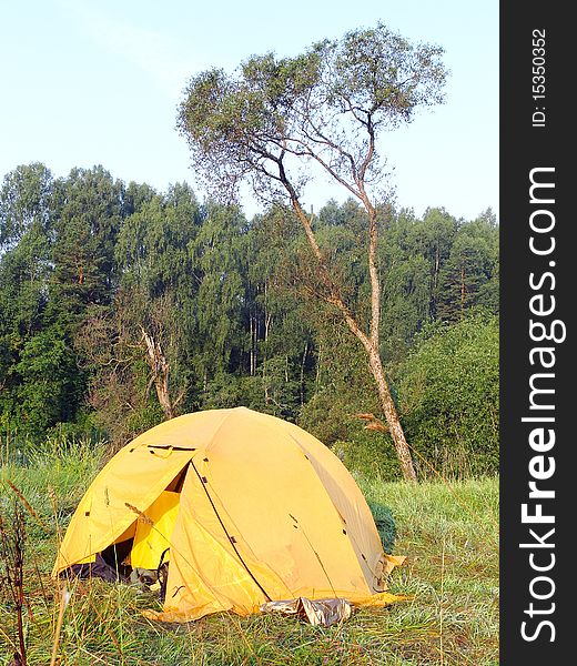 The image of yellow tent under the forest glade