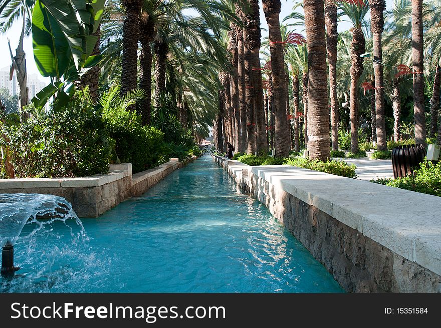 Image of fountain surrounded by palm trees.