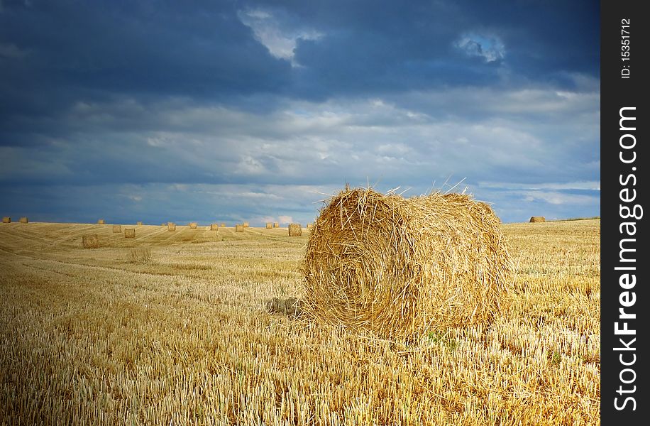 Straw After Harvest