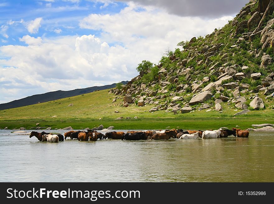 Beautiful horses drinking water in the river next to the old rock