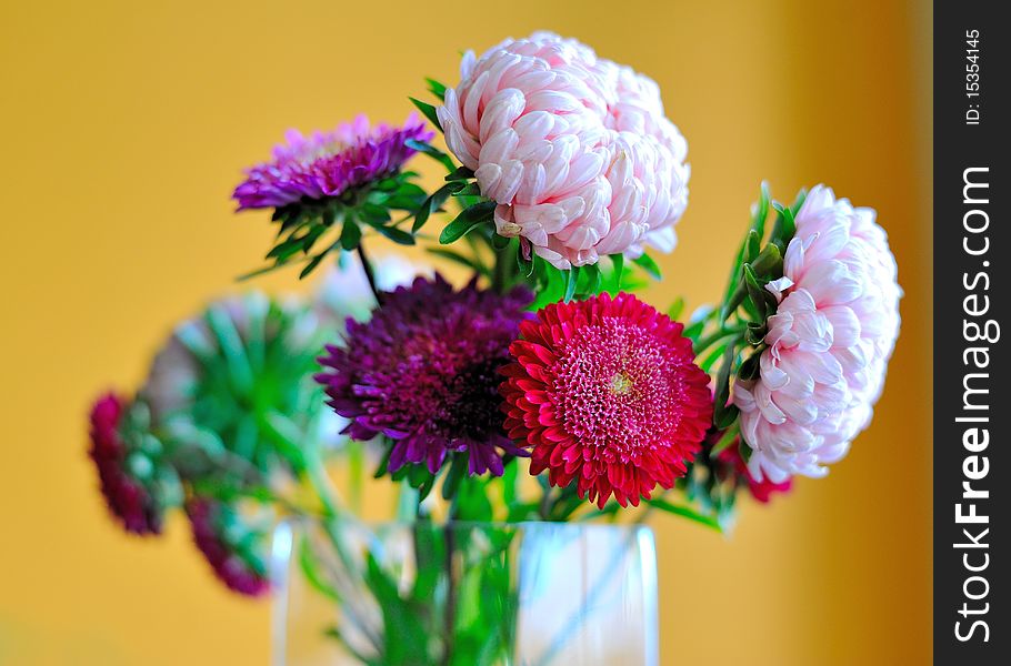 Bunch Of Beautiful Flowers In A Vase