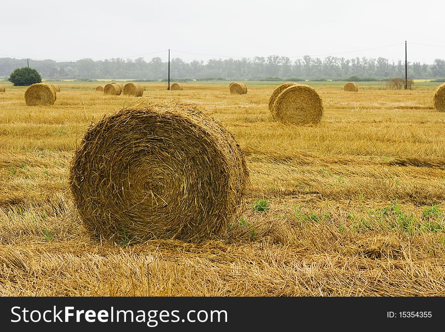 Closeup of a circular straw bale for background usage