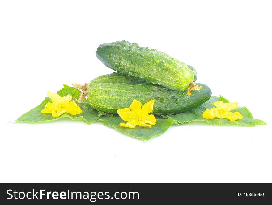 Cucumbers on white background with green leaf