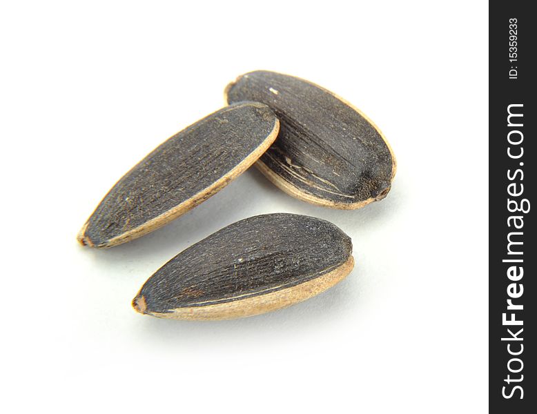 Sunflower seed isolated on a white background