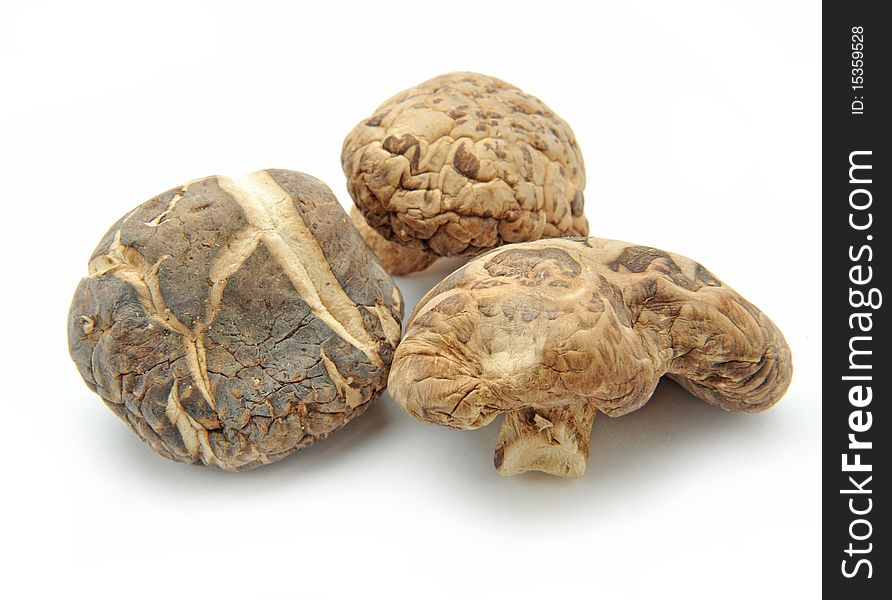 Dried Mushrooms