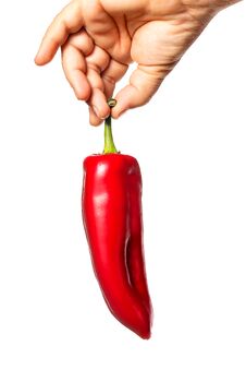 Hand Holding A Red Pepper Stock Images