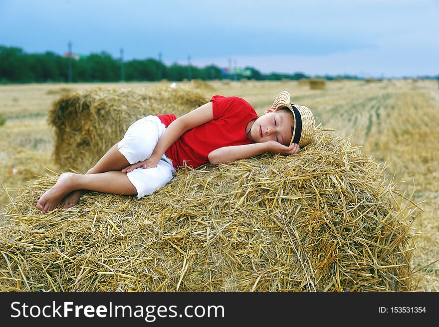 Portrait Of A Little Boy On Vacation In The Field .