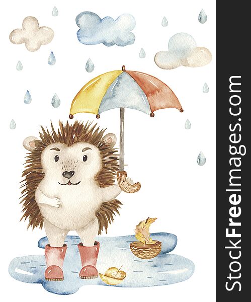Card Cute Hedgehog And Umbrella Watercolor