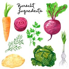 Set Of Different Vegetables, Hand Drawn Watercolor Illustration. Carrot, Beetroot, Parsley, Dill, Cabbage,potato, Onion Royalty Free Stock Photo Set Of Different Vegetables, Hand Drawn Watercolor Illustration. Carrot, Beetroot, Parsley, Dill, Cabbage,potato, Onion Royalty Free Stock Photo