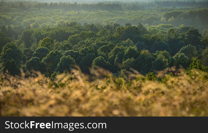 Autumn October Deciduous Forest in the Hills. Panoramic landscape