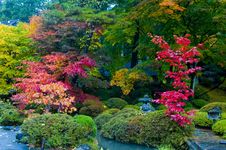 Japanese Autumn Stock Photography Japanese Autumn Stock Photography