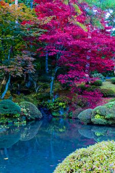 Japanese Autumn Royalty Free Stock Photos Japanese Autumn Royalty Free Stock Photos