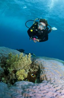 Female Scuba Diver Stock Image Female Scuba Diver Stock Image
