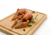 Two Boiled Lobster On  White Backg Royalty Free Stock Photography