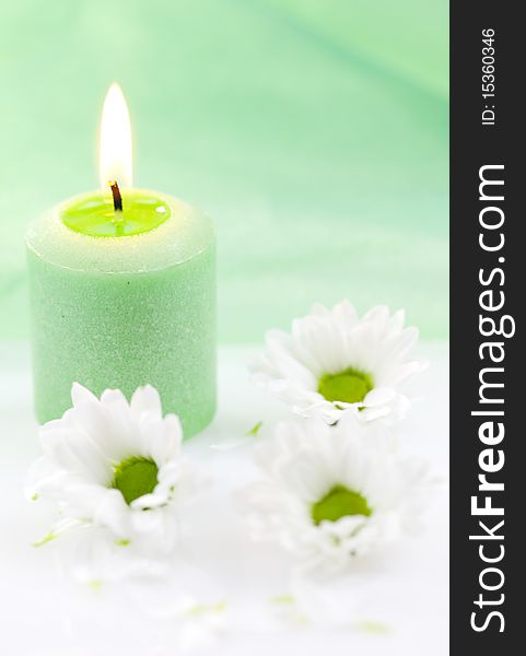 A green candle burns and white daisy on a white table. A green candle burns and white daisy on a white table