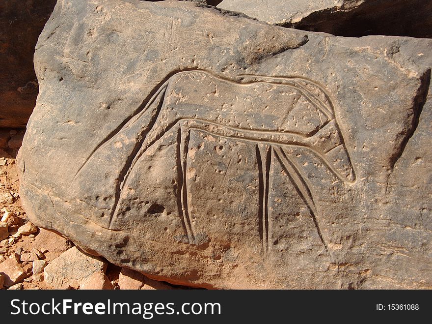 Rock engraving in the desert of Libya, in Africa. Rock engraving in the desert of Libya, in Africa