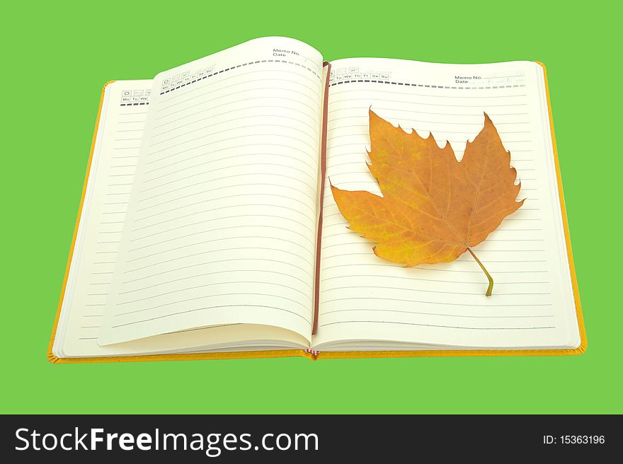 Notebook with leaf on green background