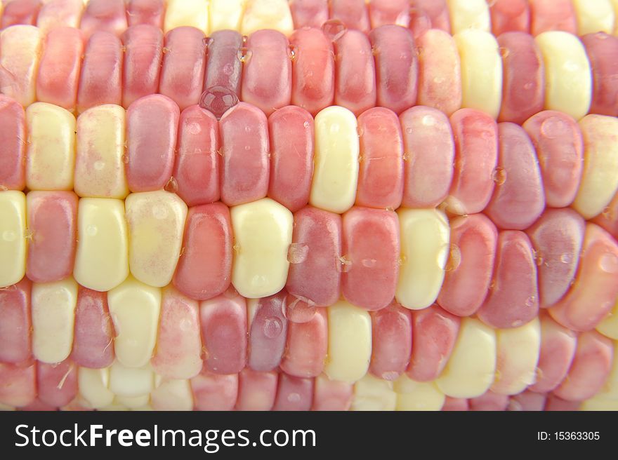 Close-up background of red and yellow corn