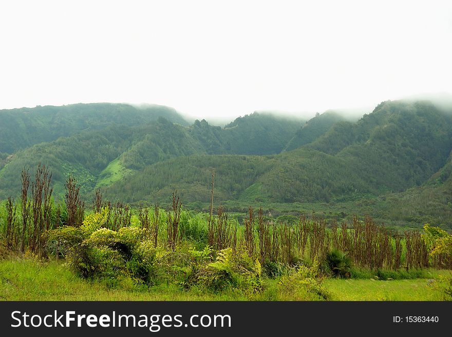 Lush green mountains covered with dense fog. Lush green mountains covered with dense fog